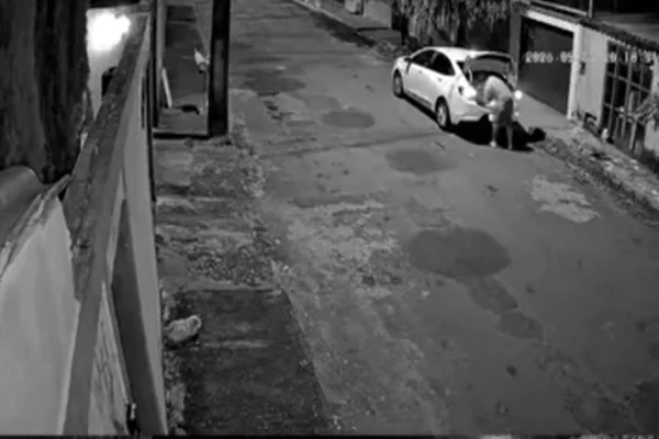 Homem flagrado arremessando e abandonando cão em rua de MG é indiciado