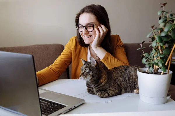 Mulher no computador com gato ao laod