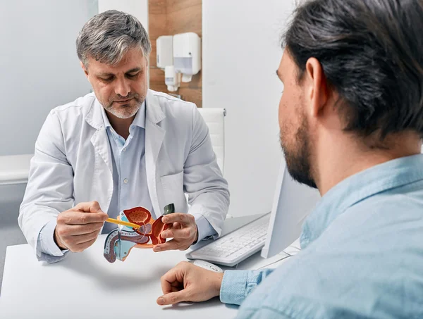 Foto mostra oncologista indicando a próstata para um paciente. Câncer de próstata: saiba quando o bloqueio de testosterona é indicado