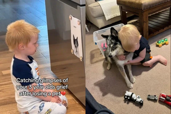 Garotinho sofre com perda da cachorra
