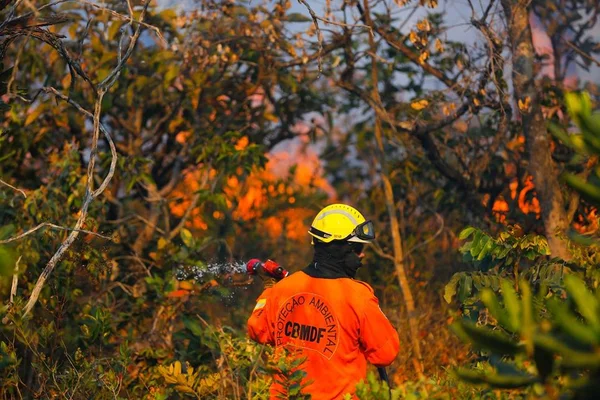 Incêndio no DF queima área equivalente a cinco campos de futebol