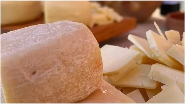 Queijo - Metrópoles