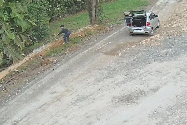 Imagem colorida mostra mulher jogando cachorro em terreno ao lado de estrada no interior de São Paulo - Metrópoles