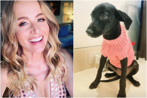 Nova cachorrinha de Angélica