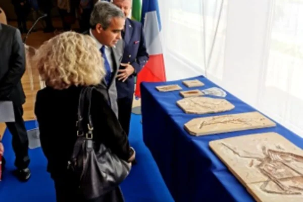 frança devolve fosseis para o brasil