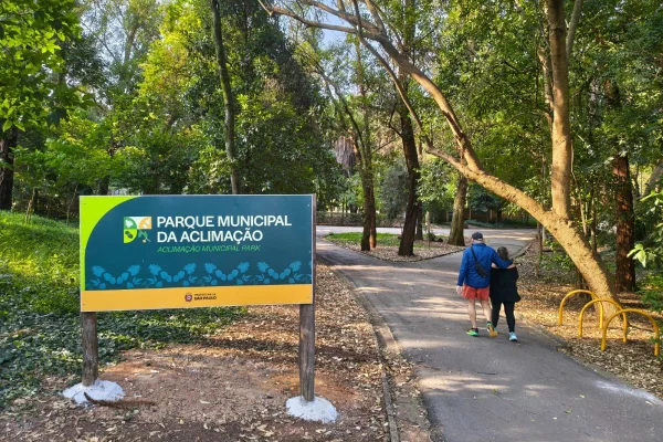 Imagem mostra Parque da Aclimação - Metrópoles
