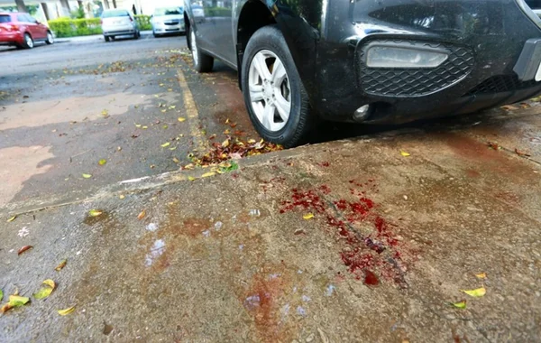 Vítima da 408 Sul pediu para não morrer. Vídeo mostra momento do crime