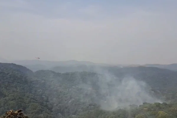 Com o fechamento do Parque Estadual da Cantareira, chega a 81 o número de unidades florestais interditadas por risco de incêndio - Metrópoles