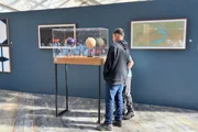 Mostra Constelações Contemporâneas Mostra Constelações Contemporâneas
