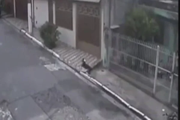 Vídeo: cachorro é arremessado duas vezes por cima de portão