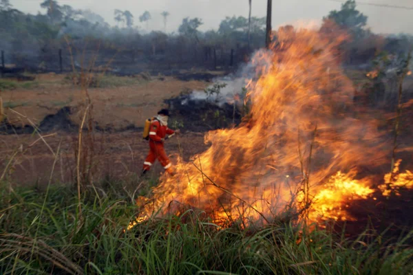 Foto colorida de bombeiro de Rondônia combatendo incêndio - Metrópoles
