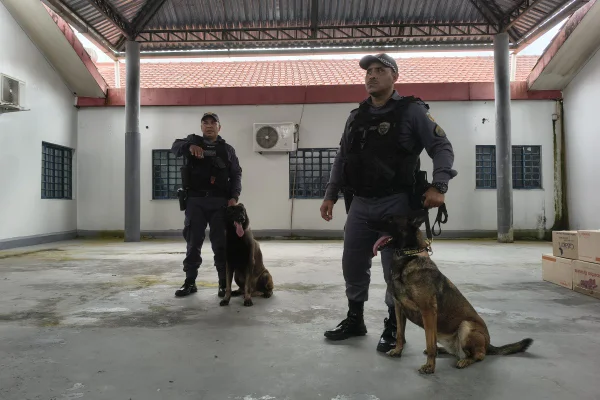 Imagem mostra policiais e cães farejadores