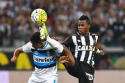 Grêmio e Atlético-MG decidiram o título de 2016. Grêmio e Atlético-MG decidiram o título de 2016.