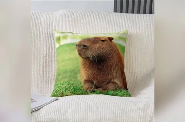 imagem colorida capivara estampa almofada