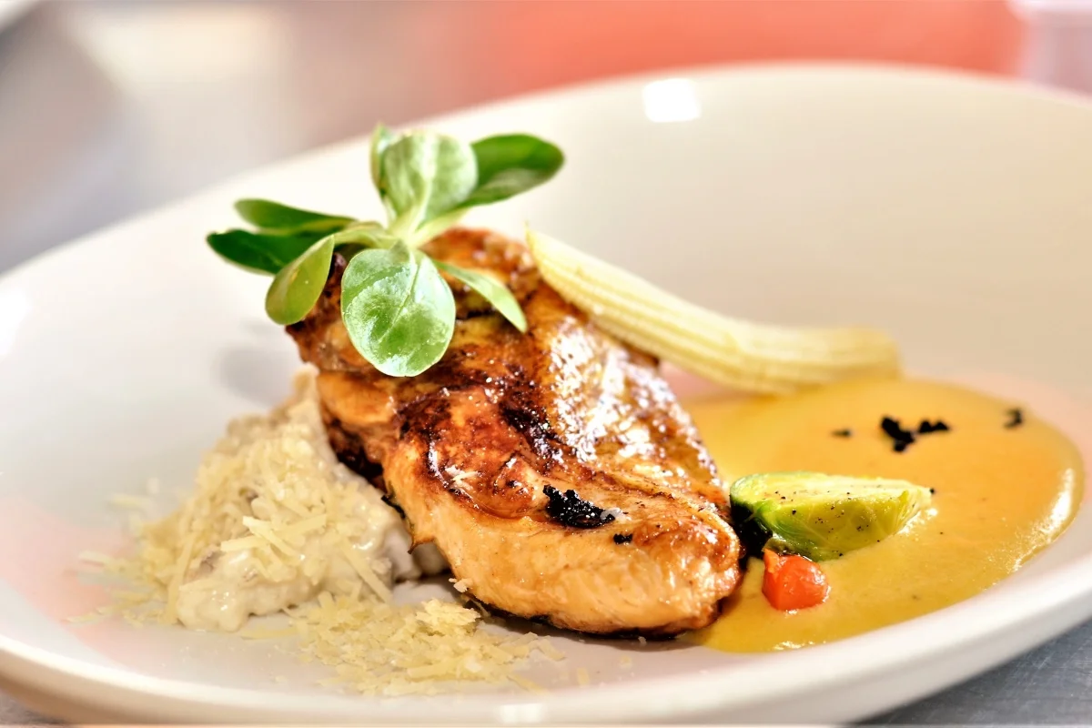 tilapia