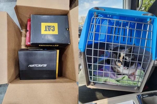 Facebook/Reprodução