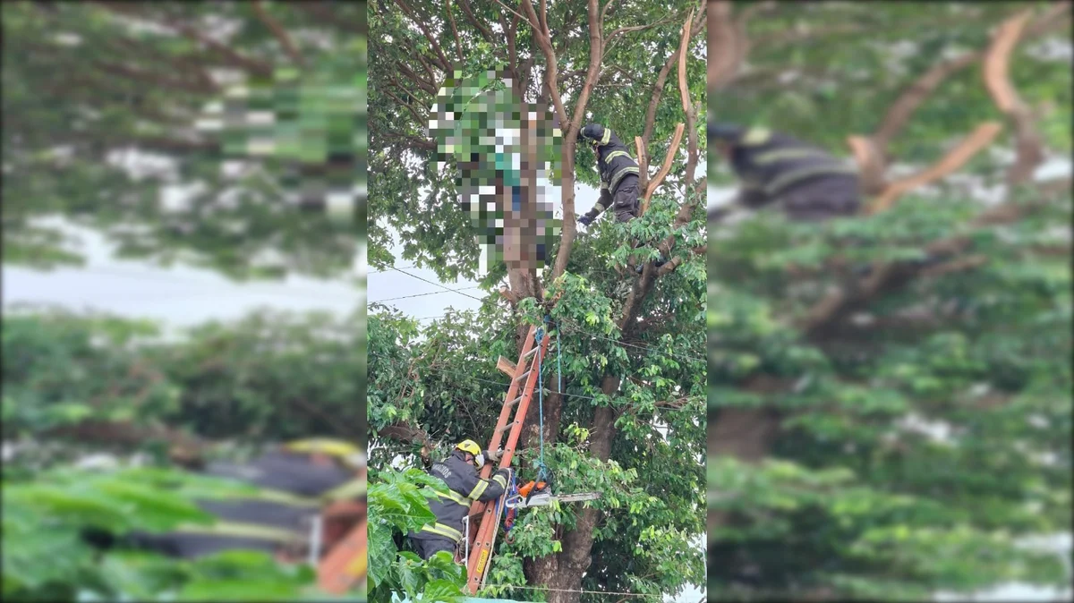 homem eletrocutado Caldas Novas