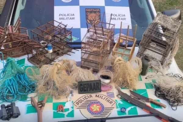 Imagem mostra material de caça e pesca - Metrópoles