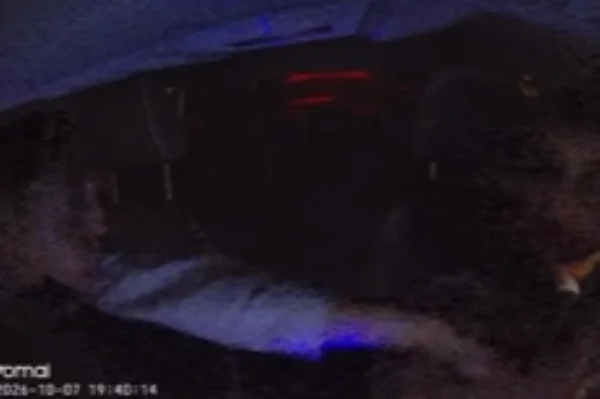 Imagem colorida de assaltante tentando roubar celular de motorista de aplicativo. Metrópoles