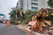 Estragos pós-apagão na Avenida Santo Amaro, zona sul de São Paulo