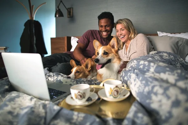 Netflix: estudo mostra que bichos de estimação adoram maratonar séries