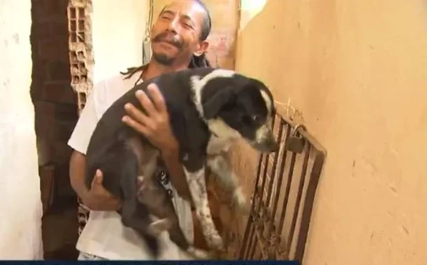 Homem cria sozinho mais de 100 cães e gatos que recolhe nas ruas