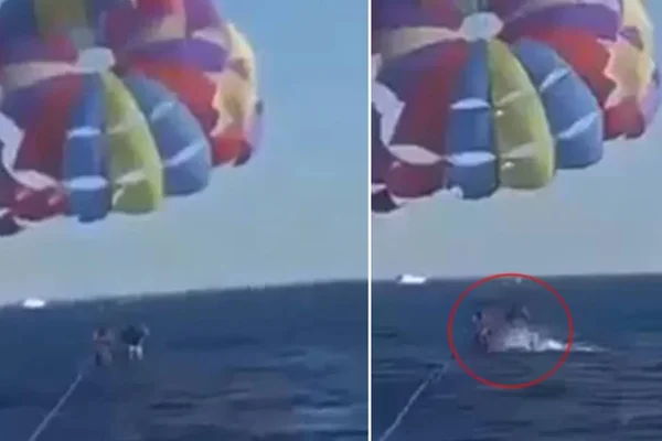 Tubarão ataca homem no Mar Vermelho