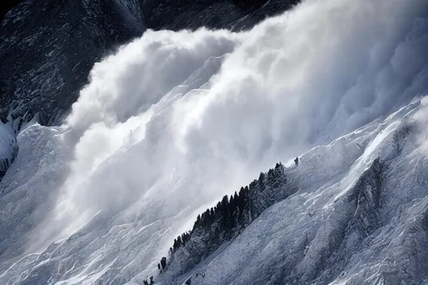 Foto colorida de uma Avalanche genérica - Metrópoles