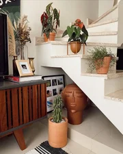 Plantas dominam o espaço Plantas dominam o espaço