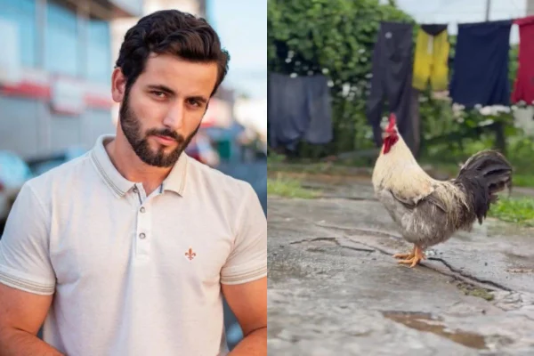Foto colorida de um galo e um homem - Metrópoles
