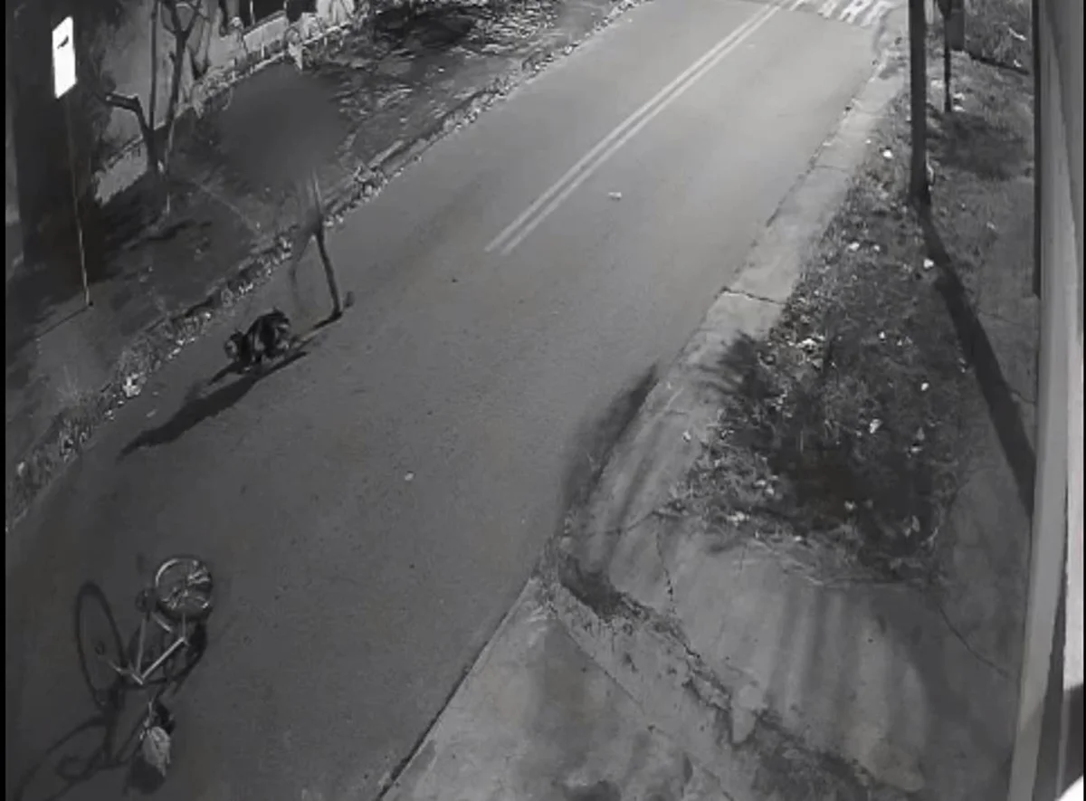 Após bater e chutar o cachorro, agressor arrastou o animal Após bater e chutar o cachorro, agressor arrastou o animal