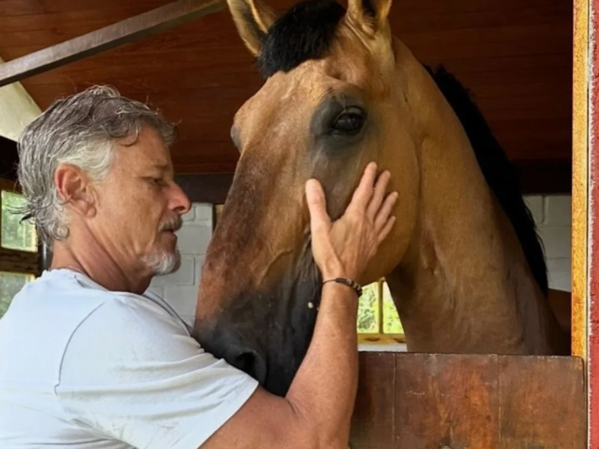 Aos 63 anos, ator Marcello Novaes troca cidade por sítio isolado