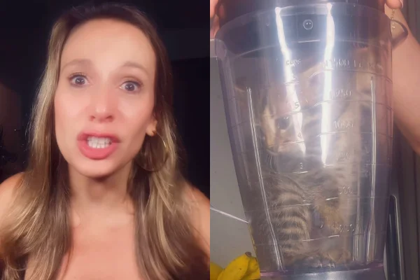 Luisa Mell chora após adolescente triturar gato no liquidificador