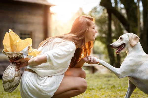 Ovo de Páscoa para cachorro