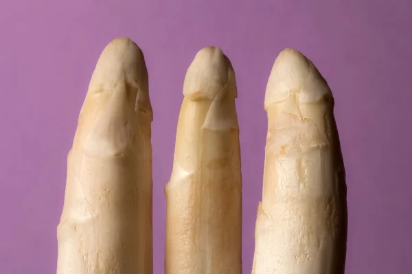 Tamanho do pênis pode interferir no orgasmo feminino? Descubra