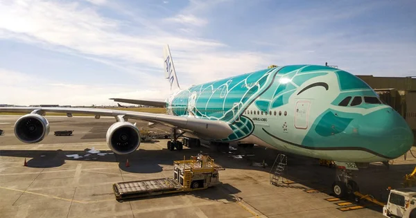 Imagem de um avião da empresa japonesa de aviação, ANA, estacionado no aeroporto de Hokkaido, dia - Metrópoles