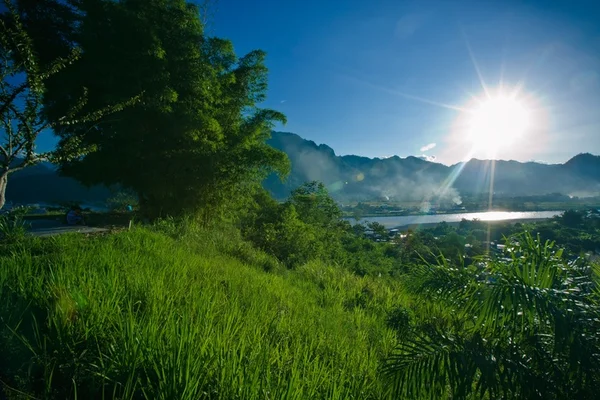 Fotografia colorida mostra paisagem de floresta esverdeada em dia de sol e horizonte montanhoso em Chanchamayo, no Peru, onde foi Jovem de 20 anos é internado com vírus desconhecido no Peru