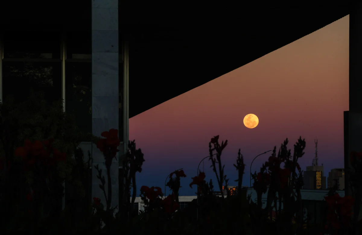 Lua de morango não muda de cor e tem a mesma aparência de qualquer outra Lua cheia, com tons predominantemente brancos e acinzentados. Lua de morango não muda de cor e tem a mesma aparência de qualquer outra Lua cheia, com tons predominantemente brancos e acinzentados.