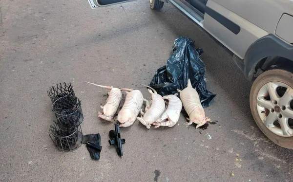imagem colorida animais abatidos empresario preso em goias