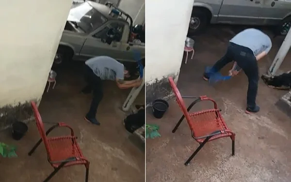 Homem é preso após agredir cão com uma mangueira de jardim