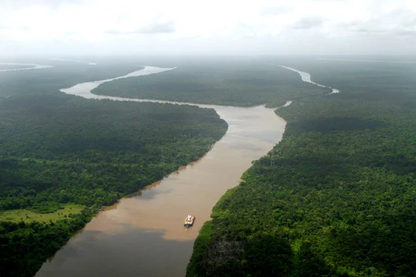 Imagem colorida da Amazônia - Metrópoles
