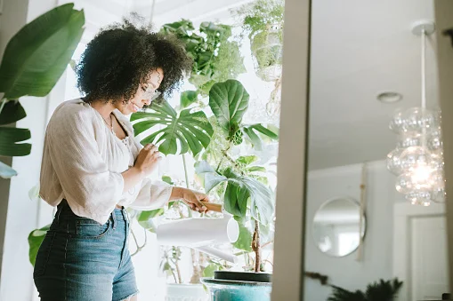 Atenção, pais de plantas: agora elas têm a própria playlist de músicas