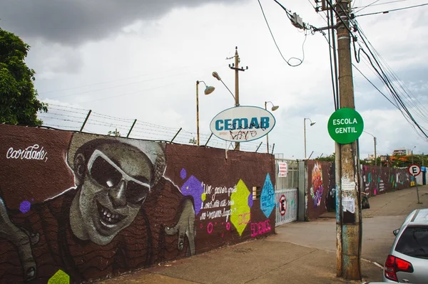 Artista plástica leva cidadania das escolas para as ruas do DF