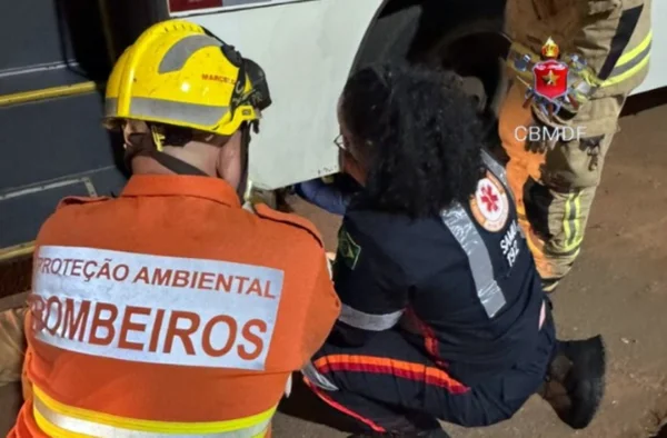 Atropelamento por ônibus