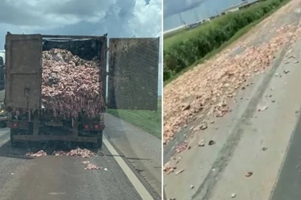 Foto colorida da traseira de caminhão abre e espalha carga de sebo em trecho da BR-163 - Metrópoles