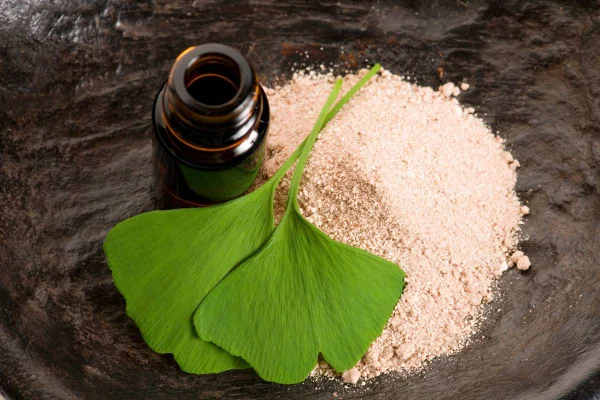 Foto colorida de ginkgo biloba - Metrópoles