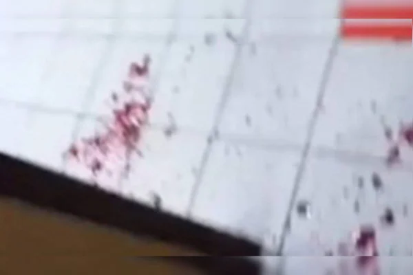 Momentos de terror: idosa atacada por pit-bulls é salva por jovens