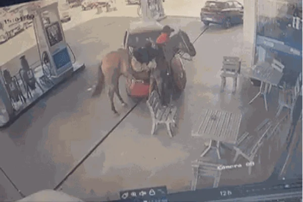 Imagem colorida, momento em que carro atropela cavalo e dono em posto de gasolina - Metrópoles