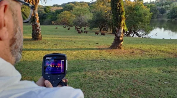 Imagem colorida de câmera térmica sendo usada em censo de capivaras em Campinas