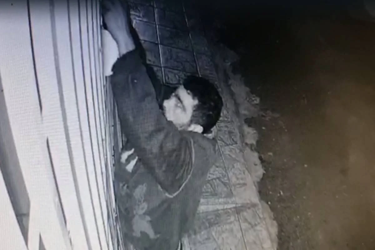 Horas depois, o homem volta amarra uma câmera no portão da casa Horas depois, o homem volta amarra uma câmera no portão da casa